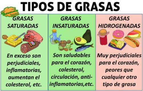 tipos de grasas saturada insaturada hidrogenada omega