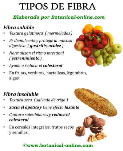 Tipos de fibra y beneficios, fibra soluble e insoluble