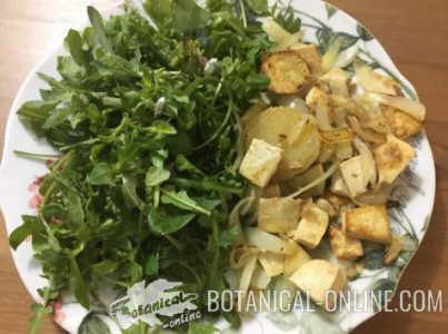 ensalada plantas silvestres con tofu