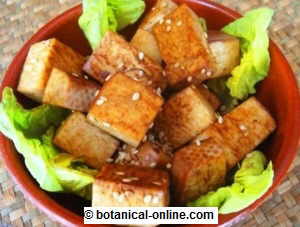 tofu dados