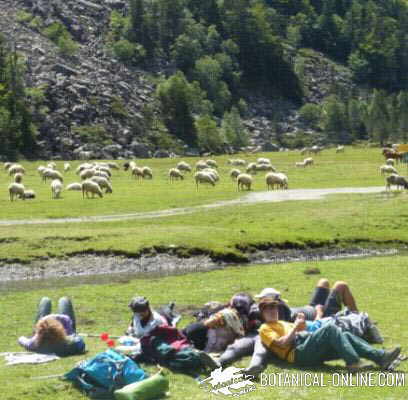 tomar el sol por la montaña vitamina D