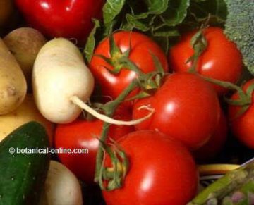 Tomate y vegetales