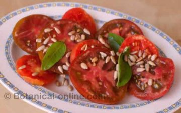 ensalada de tomate con semilals de girasol y albahaca