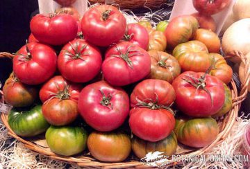 Licopeno en los tomates