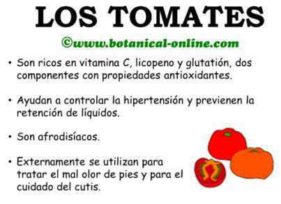 Beneficios y propiedades de los tomates