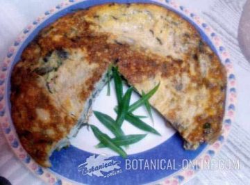 tortilla collejas plantas silvestres silene vulgaris