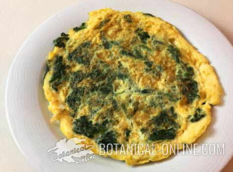 tortilla espinacas