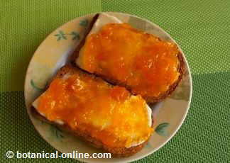 tostadas con mantequilla y mermelada de calabaza