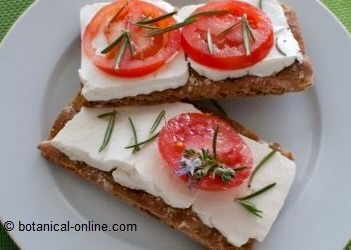 Foto de tostadas con queso fresco y tomate