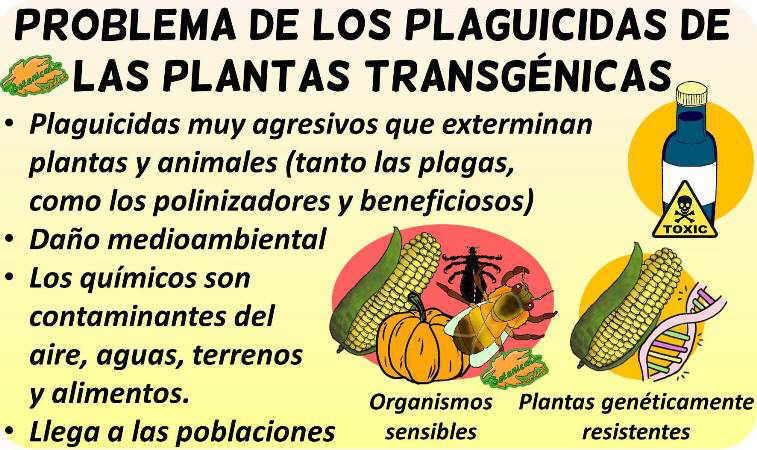 plaguicidas pesticidas transgenicos malos inconvenientes debate