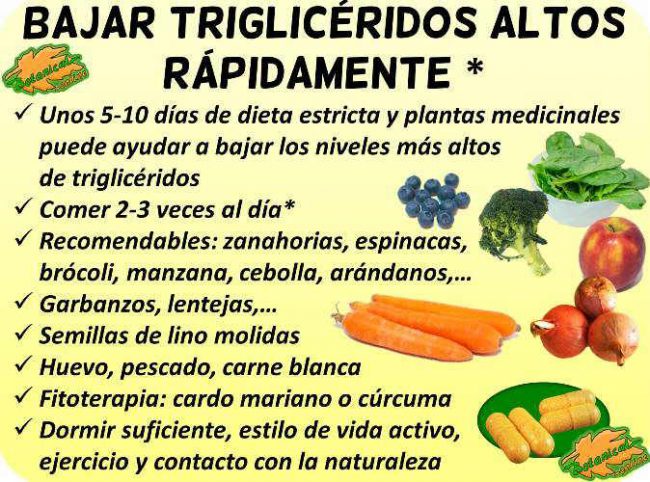 Plantas Medicinales para Combatir los Triglicéridos Altos: Un Enfoque Natural
