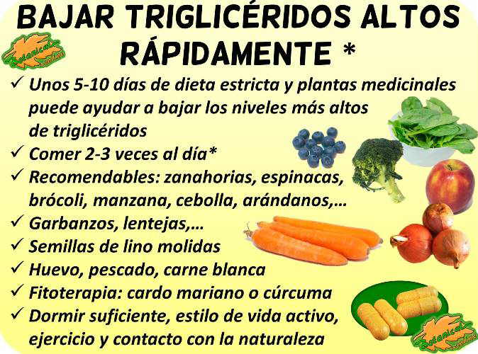 Dieta para bajar los trigliceridos