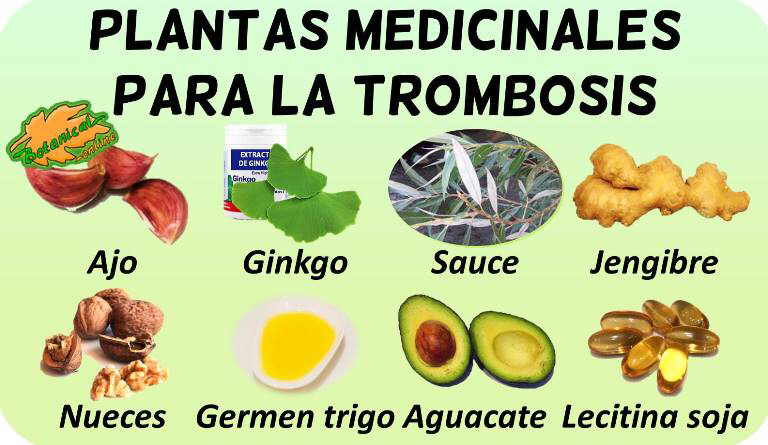 trombosis remedios caseros con plantas medicinales