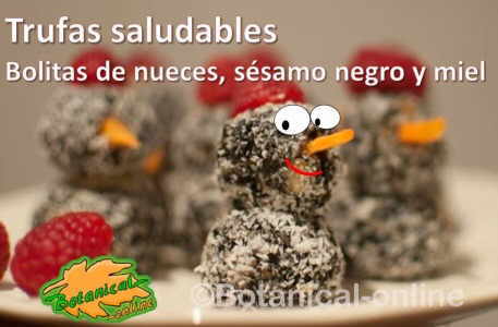 trufas faciles caseras nueces semillas sesamo miel taller para niños