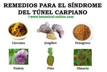 Tratamiento con remedios para el síndrome del túnel carpiano