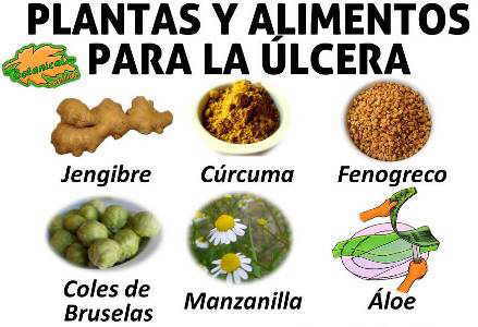 tratamiento natural con alimentos y plantas para la ulcera de estomago