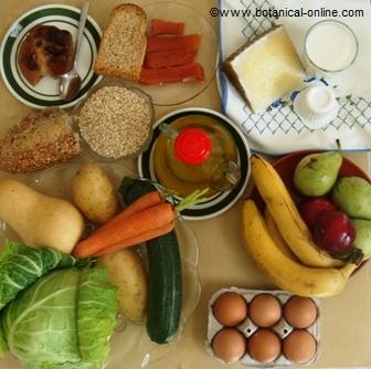 Dieta para la gastritis – Botanical-online