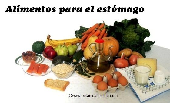 alimentos para el estomago