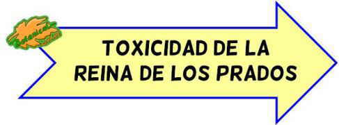 toxicidad ulmaria