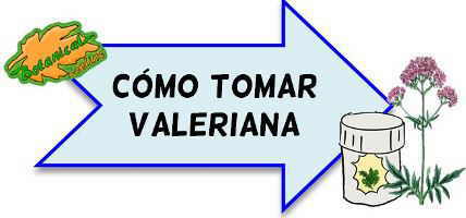 como tomar valeriana