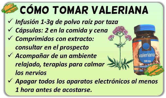 como tomar valeriana