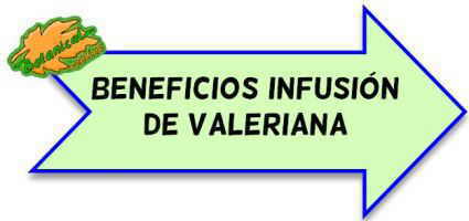 infusion de valeriana