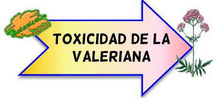 toxicidad de la valeriana