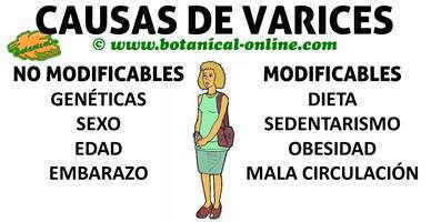 Causas de varices