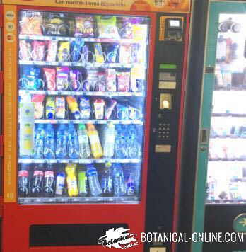 máquina de vending de comida rapida fast food