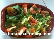 ensalada con verdolaga