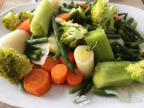 verduras