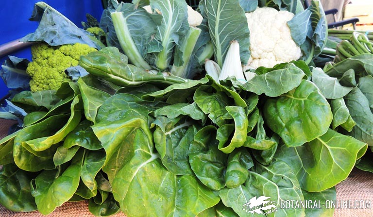 verduras de hoja verde en un mercado