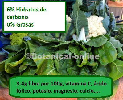 composicion nutricional de las verduras, fibra, azucares