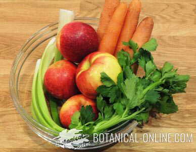 frutas verduras smoothie zanahorias manzana apio green juice zumo verde 