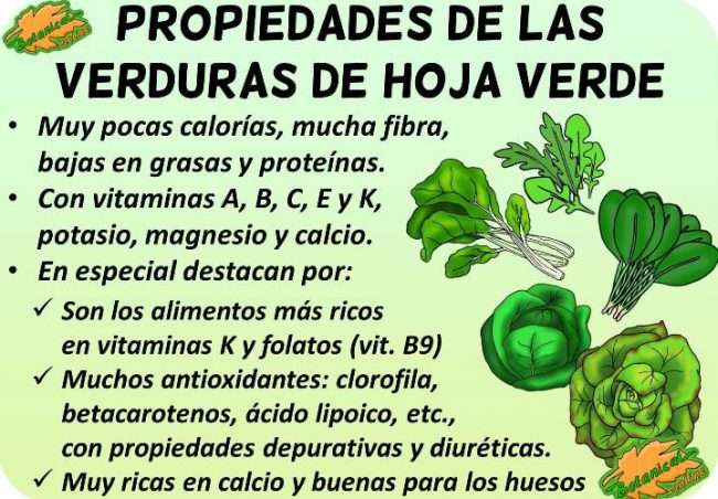 verduras de hoja verde