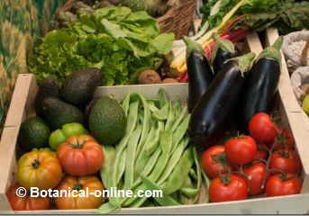 Verduras en la dieta para la angina de pecho