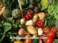 verduras para el cabello