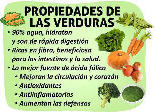 propiedades de las verduras hortalizas y beneficios