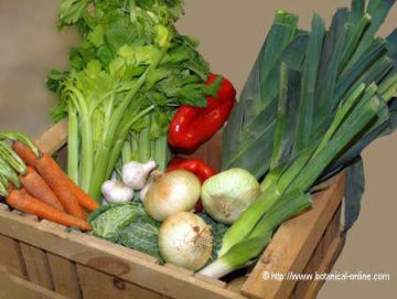 verduras y hortalizas