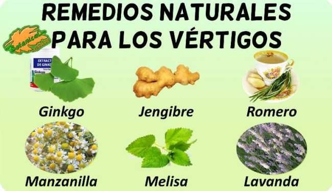 vertigo remedios con plantas medicinales 