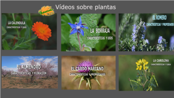 vídeos de plantas