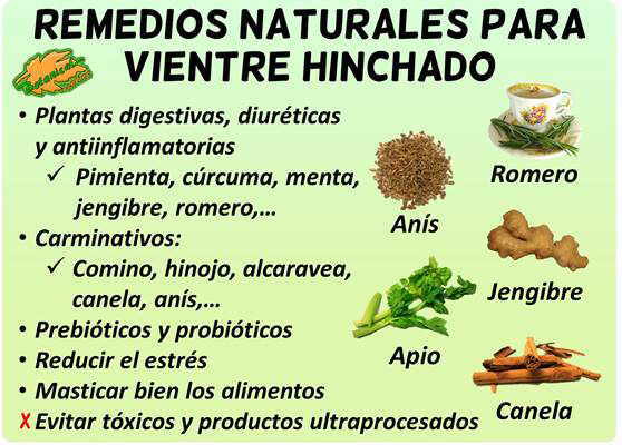 remedios naturales con plantas para la barriga hinchada, distensión abdominal y tener vientre plano