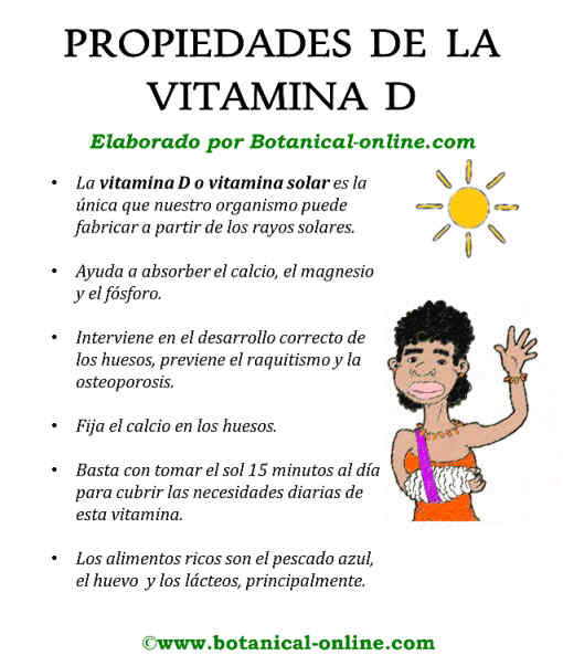 Propiedades de la vitamina D
