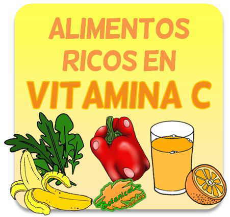 alimentos ricos en vitamina C