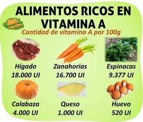 alimentos ricos en vitamin a y betacarotenos