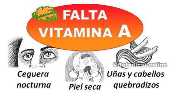 sintomas deficit carencia vitamina a betacaroteno