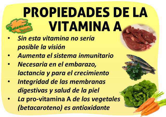 propiedades medicinales de la vitamina a y alimentos ricos en betacarotenos