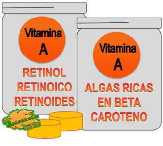 tipos suplementos de vitamina A