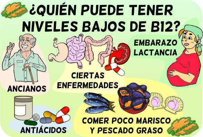 vitamina b12 deficit falta niveles bajos