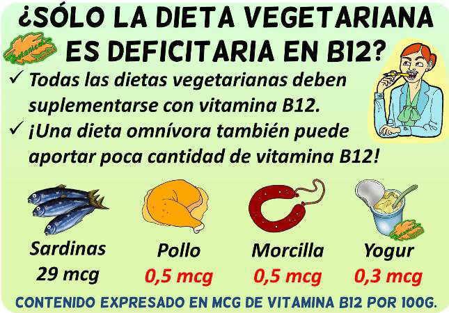 dieta rica vitamina b12 cantidad dieta vegetariana omnivora